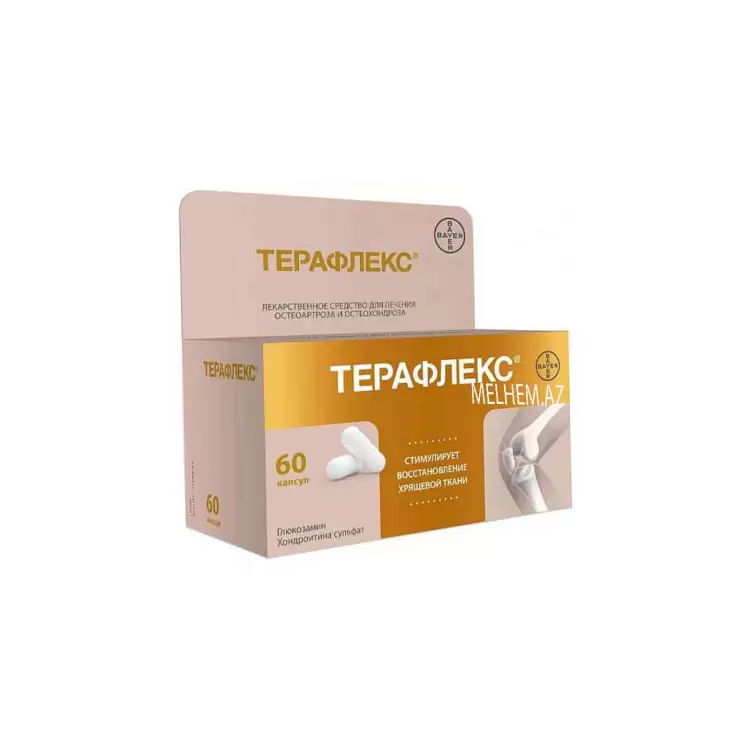 TERAFLEKS N60