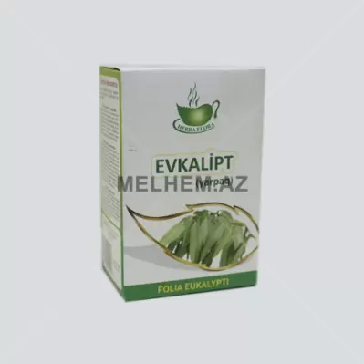 EVKALİPT YARPAĞI