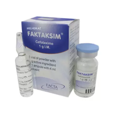 FAKTAKSİM  1 q